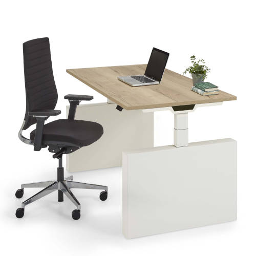 rienk bureau flex pro enkel wang